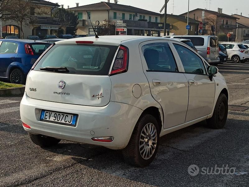 Usata Fiat Punto Street 77 CV (56 kW) 2014 Bianco Utilitaria