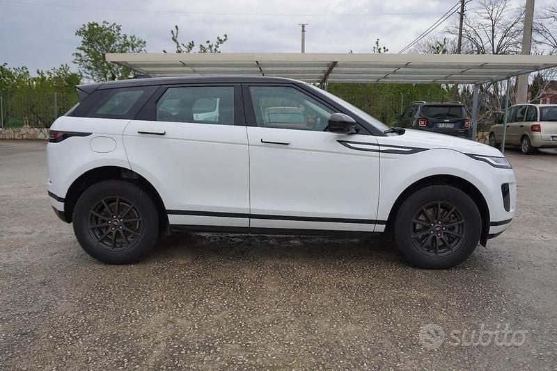 Usata Land Rover Range Rover evoque S 163 CV (119 kW) 2022 Bianco SUV