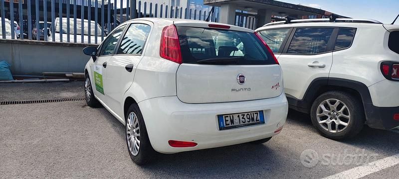 Usata Fiat Punto 75 CV (55 kW) 2014 Bianco Utilitaria