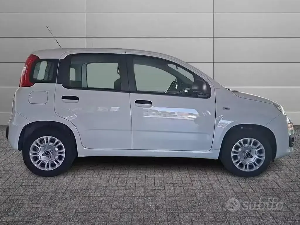 Usata Fiat Panda Easy 69 CV (50 kW) 2020 Bianco Utilitaria