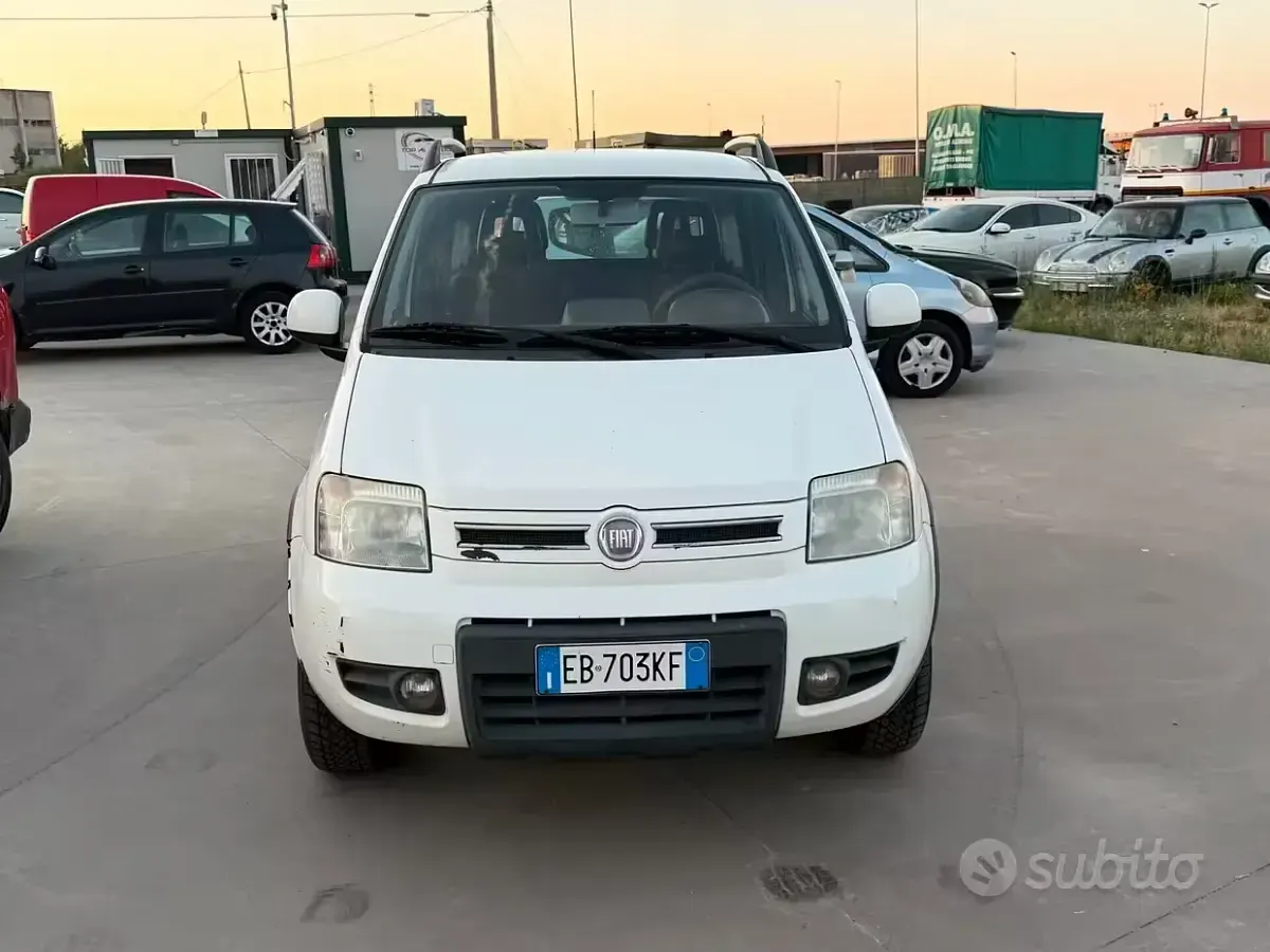Usata Fiat Panda 4x4 Climbing 75 CV (55 kW) 2011 Utilitaria