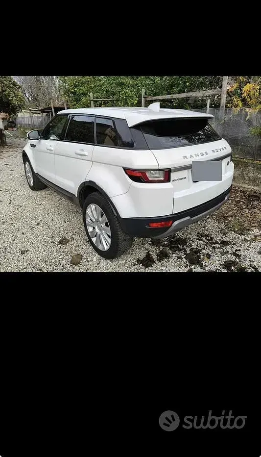 Usata Land Rover Range Rover evoque 150 CV (110 kW) 2017 Bianco Station wagon
