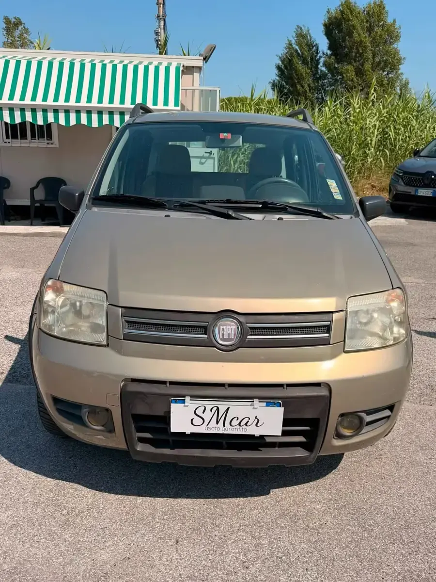 Usata Fiat Panda Climbing 60 CV (44 kW) 2009 Oro Utilitaria