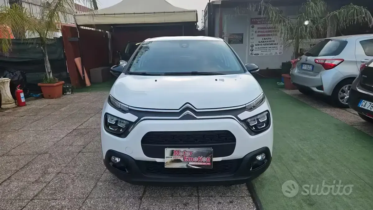 Occasion Citroën C3 Feel 102 ch (75 kW) 2021 Blanc Citadine