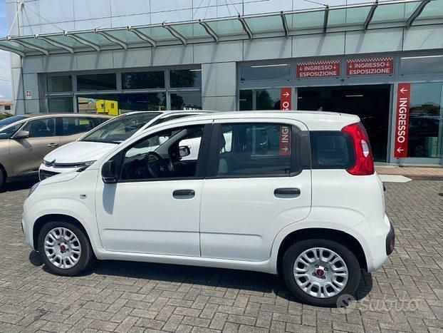 Usata Fiat Panda S 70 CV (51 kW) 2022 Bianco Utilitaria