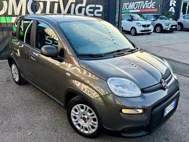Usata Fiat Panda 69 CV (50 kW) 2023 Grigio Utilitaria
