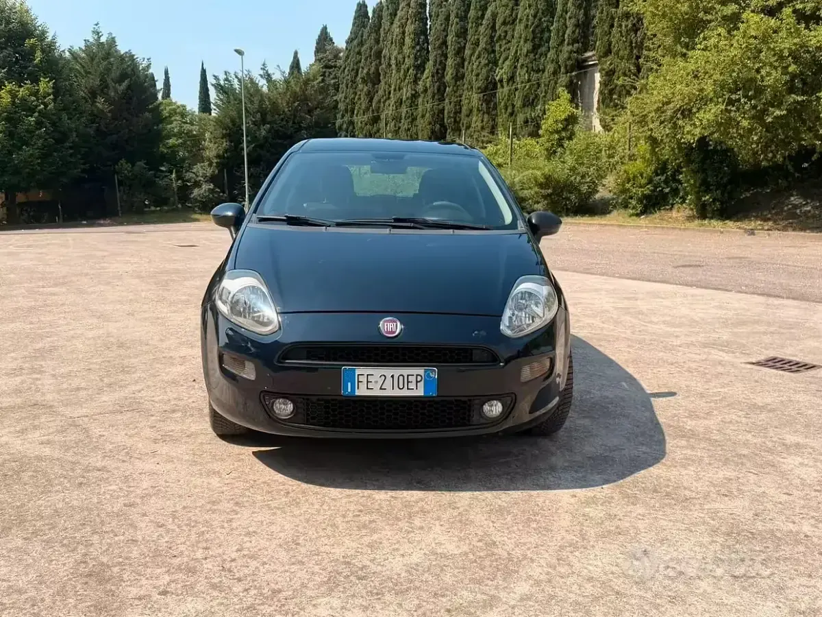 Usata Fiat Punto 77 CV (56 kW) 2016 Bluazzurro Utilitaria