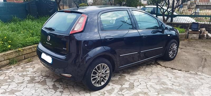 Usata Fiat Punto Evo Dynamic 75 CV (55 kW) 2010 Nero Utilitaria