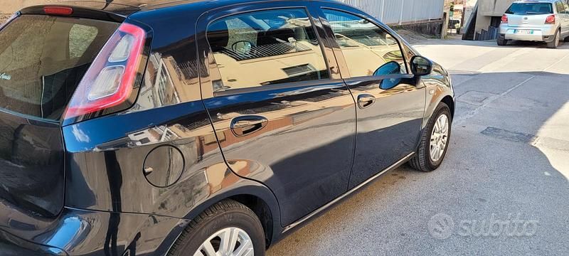 Usata Fiat Punto Lounge 69 CV (50 kW) 2013 Utilitaria