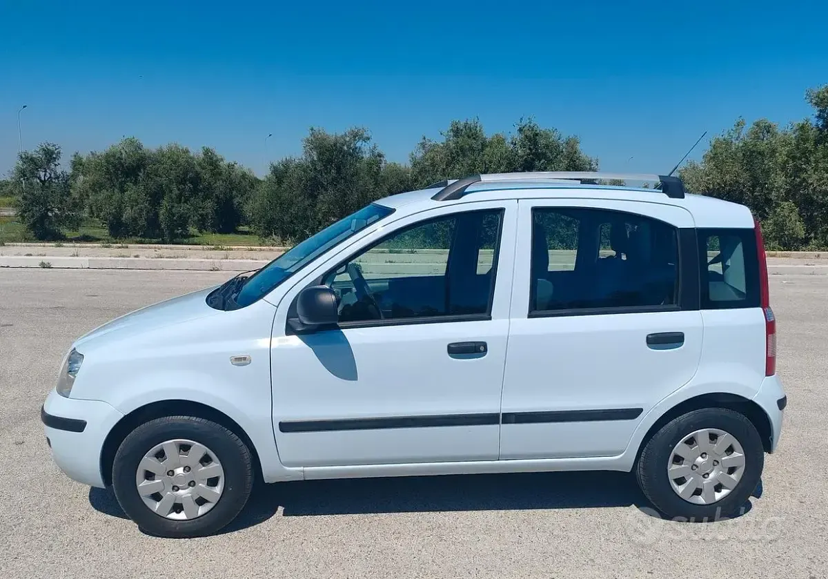 Usata Fiat Panda Dynamic 69 CV (50 kW) 2010 Grigio Utilitaria