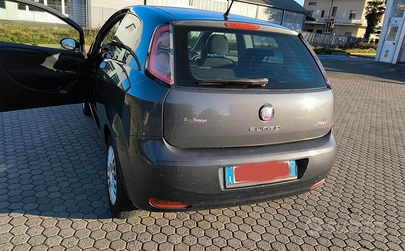 Usata Fiat Punto Street 69 CV (50 kW) 2014 Grigio Berlina