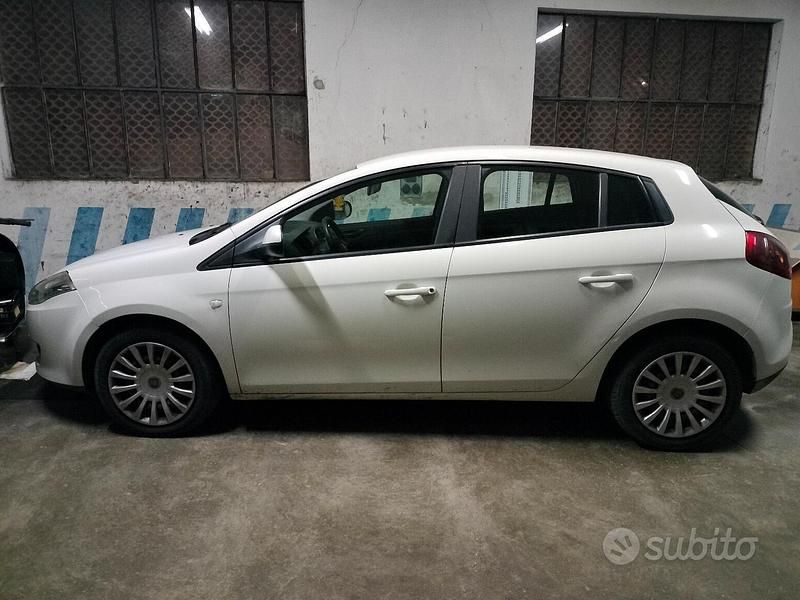 Bianco Usata 2013 Fiat Bravo Due volumi | 2500 € (Ottimo prezzo) - Immagine 1/1