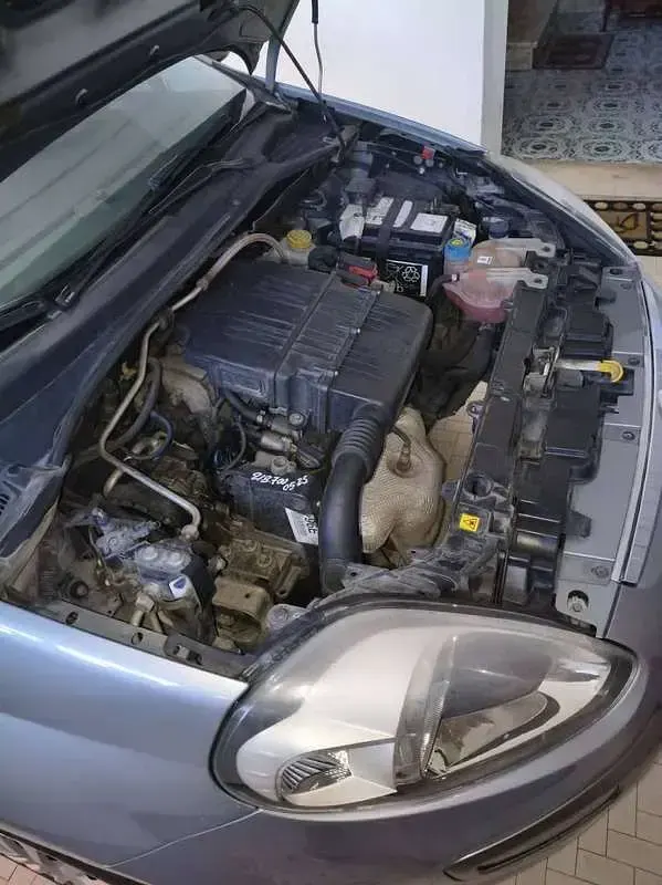 Usata Fiat Punto Evo Dynamic 69 CV (50 kW) 2009 Utilitaria