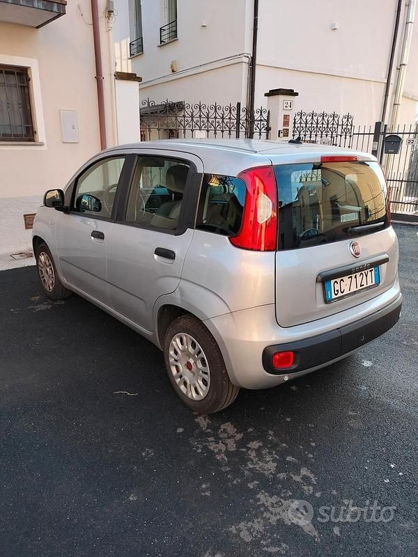 Usata Fiat Panda Easy 69 CV (50 kW) 2020 Grigio Utilitaria