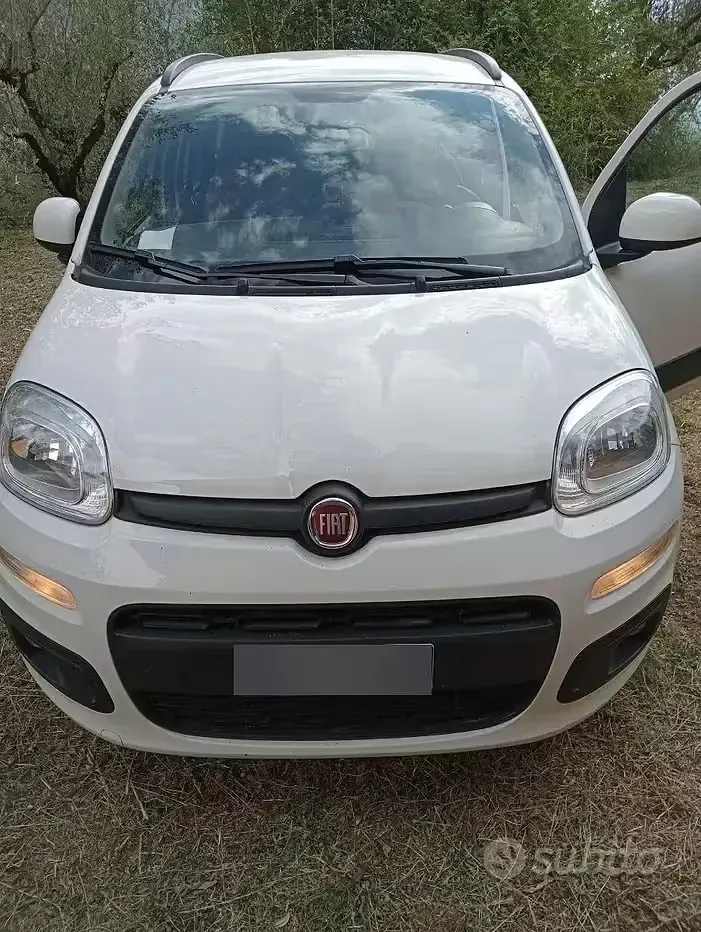 Usata Fiat Panda 75 CV (55 kW) 2012 Giallo Utilitaria