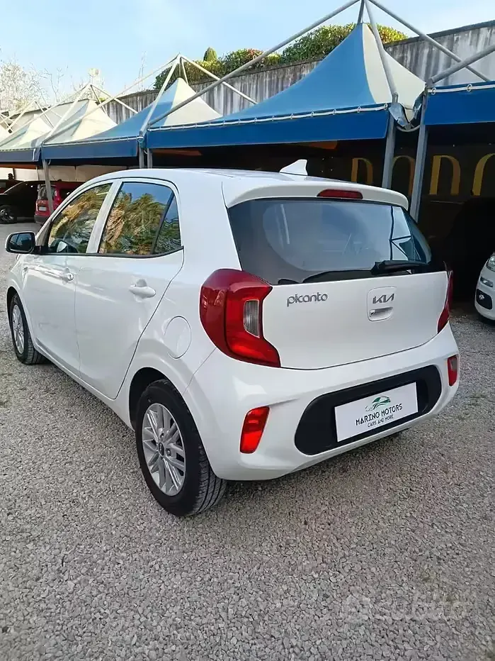 Usata Kia Picanto MY23 67 CV (49 kW) 2024 Utilitaria