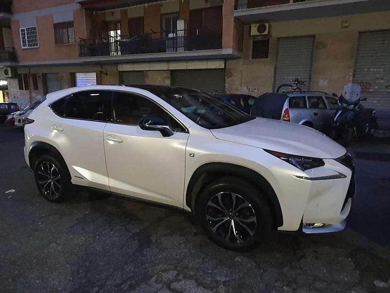 Usata Lexus NX300h Sport Line 155 CV (114 kW) 2015 Bianco SUV