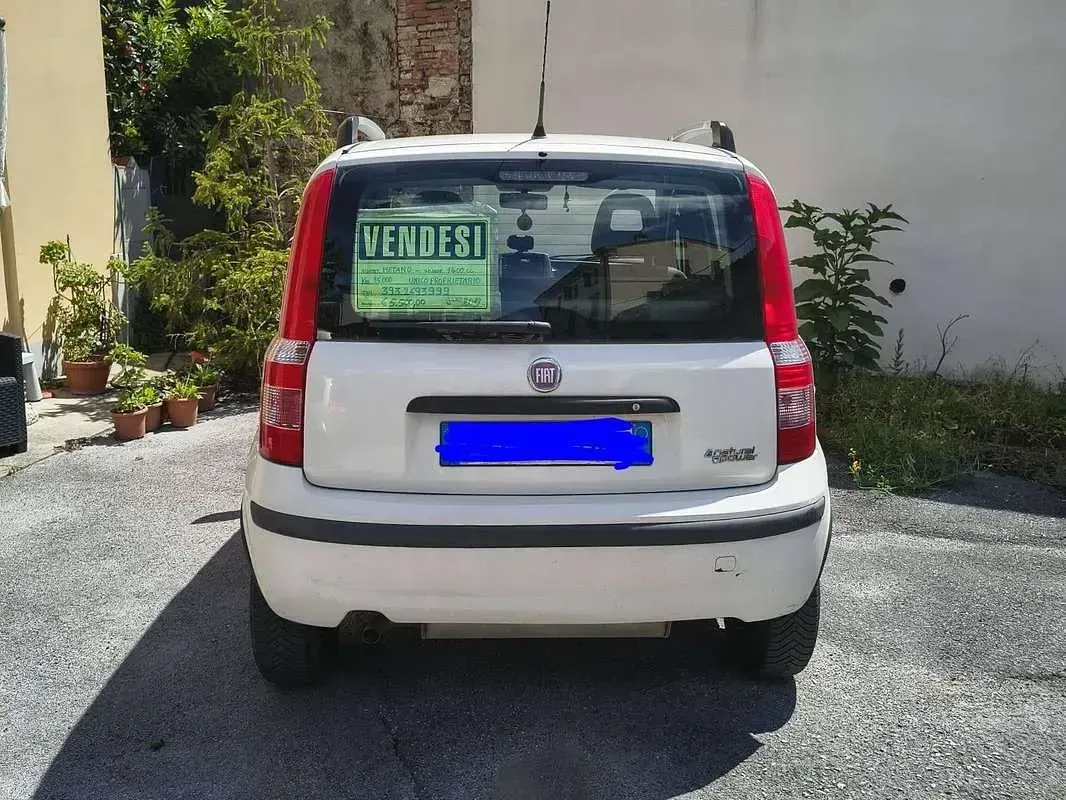 Usata Fiat Panda Dynamic 77 CV (56 kW) 2012 Bianco Utilitaria