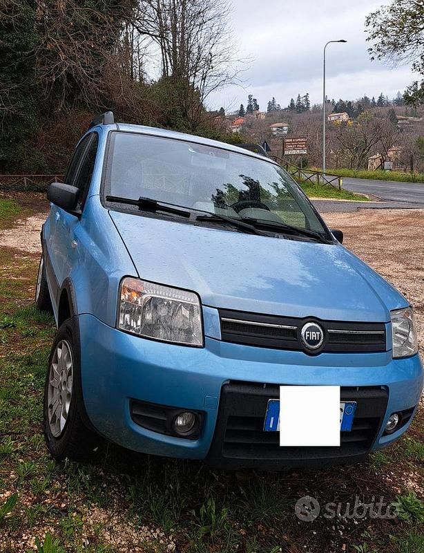 Usata Fiat Panda 4x4 Climbing 2005 Blu Utilitaria