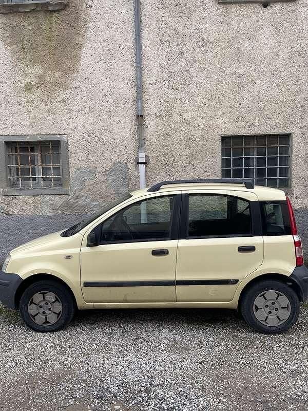 Usata Fiat Panda Active 54 CV (39 kW) 2009 Utilitaria
