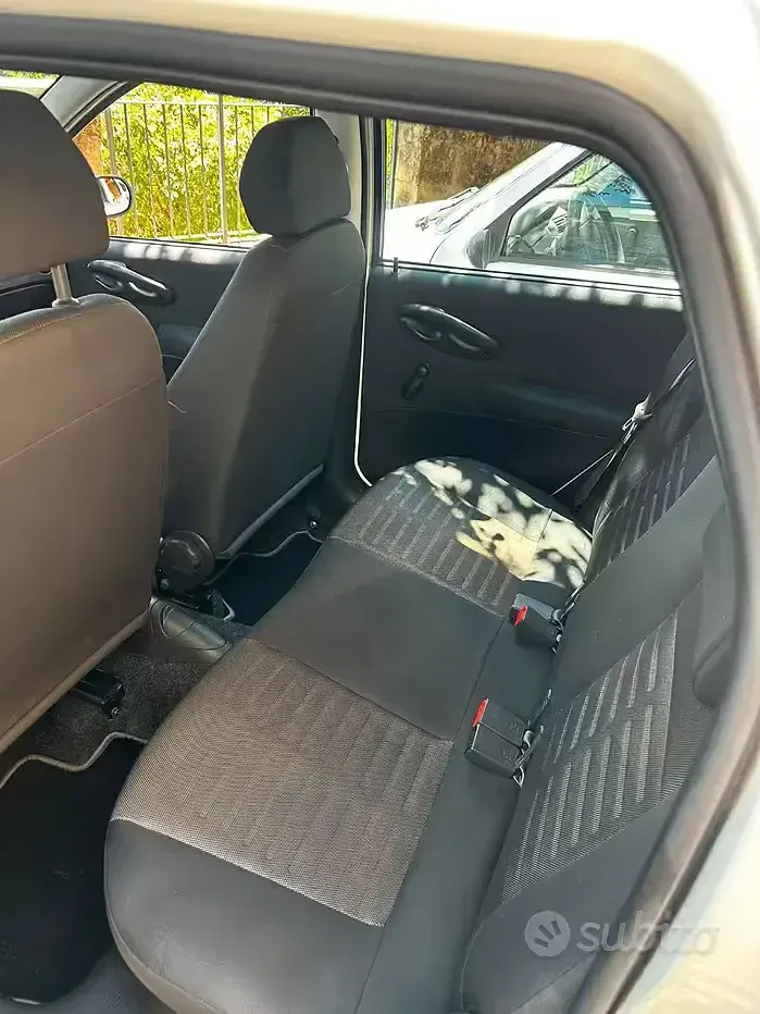 Usata Fiat Punto 60 CV (44 kW) 2009 Bluazzurro Utilitaria