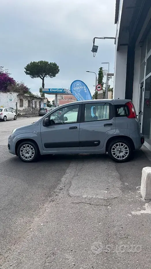 Usata Fiat Panda Easy 69 CV (50 kW) 2018 Grigio Utilitaria