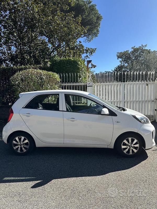 Usata Kia Picanto 2017 Bianco Utilitaria