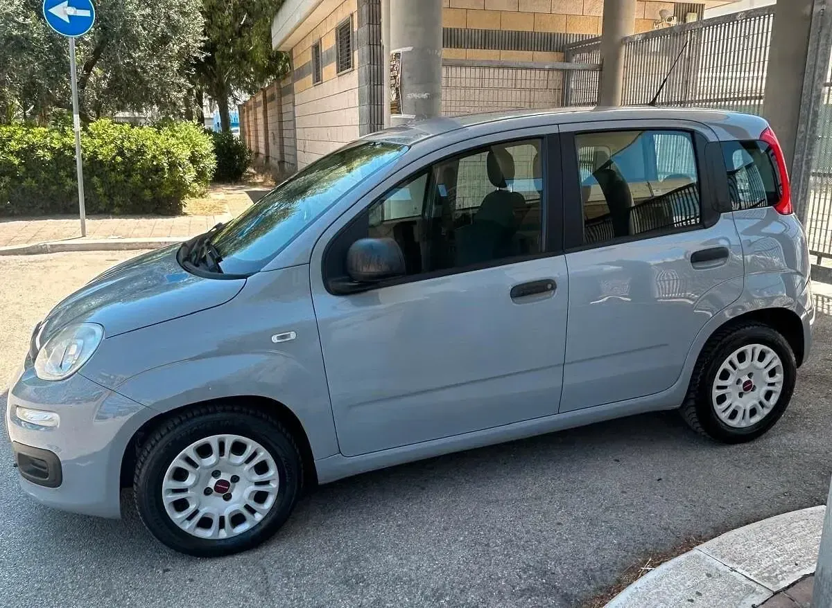 Usata Fiat Panda Easy 95 CV (69 kW) 2018 Grigio Utilitaria