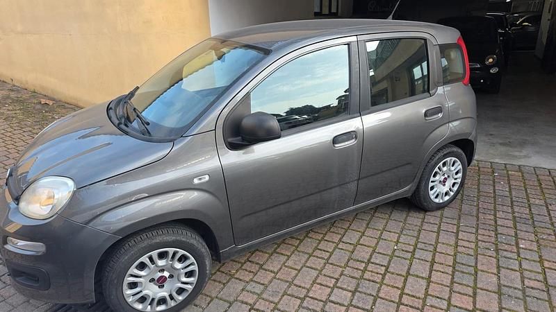 Usata Fiat Panda Pop 69 CV (50 kW) 2019 Grigio Utilitaria