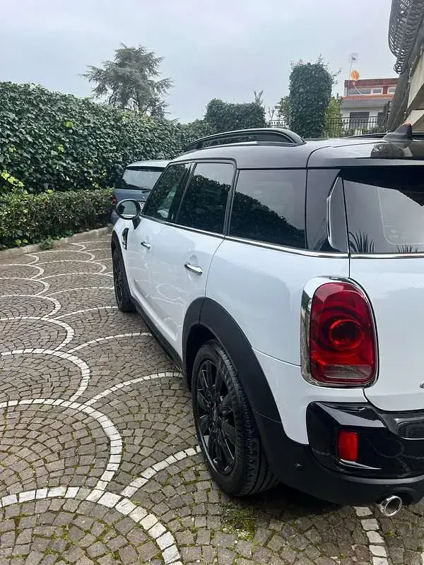 Usata Mini Cooper SD Countryman 190 CV (139 kW) 2019 Bianco SUV