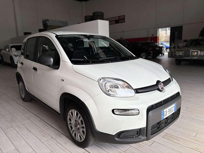 Usata Fiat Panda 69 CV (50 kW) 2023 Bianco gelato Utilitaria