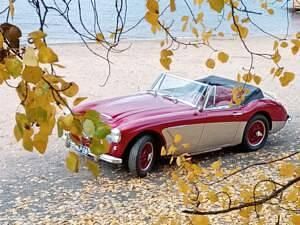 Altri Usata 1964 Austin Healey 3000 MK II Cabrio | 45.000 € - Immagine 1/4