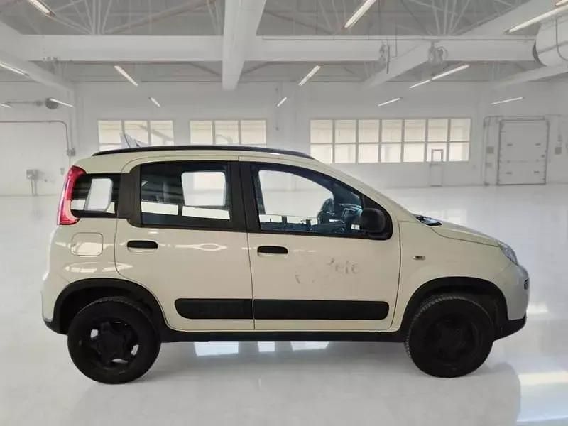 Usata Fiat Panda 4x4 Wild 85 CV (62 kW) 2022 Utilitaria