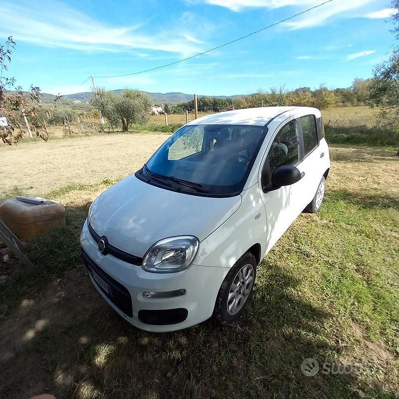 Usata Fiat Panda 85 CV (62 kW) 2018 Bianco Utilitaria