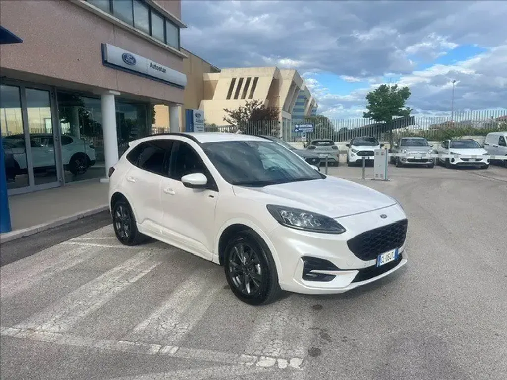 Usata Ford Kuga ST-Line X 225 CV (165 kW) 2023 Bianco perlato SUV