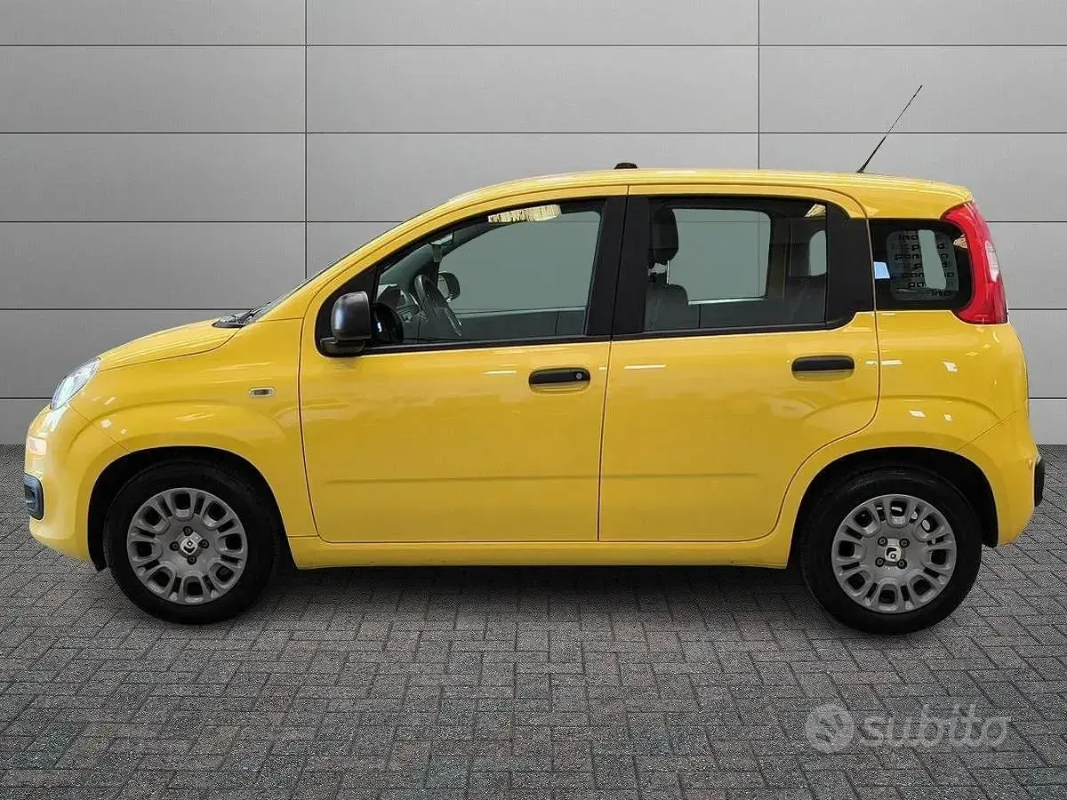 Usata Fiat Panda Pop 65 CV (47 kW) 2026 Giallo Utilitaria