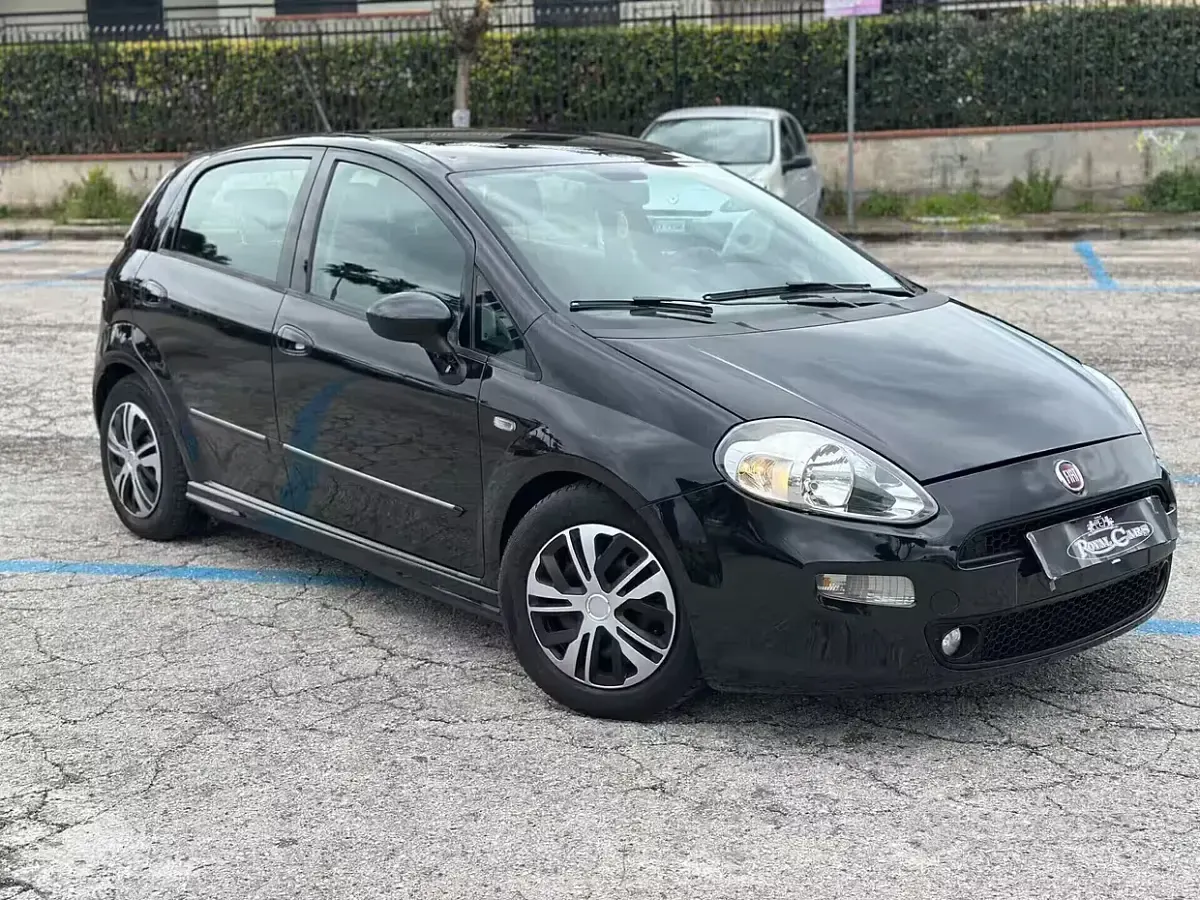 Usata Fiat Punto Evo Easy 85 CV (62 kW) 2013 Utilitaria
