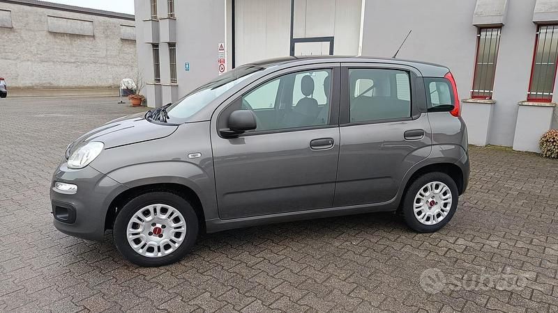 Usata Fiat Panda Easy 69 CV (50 kW) 2020 Grigio Utilitaria