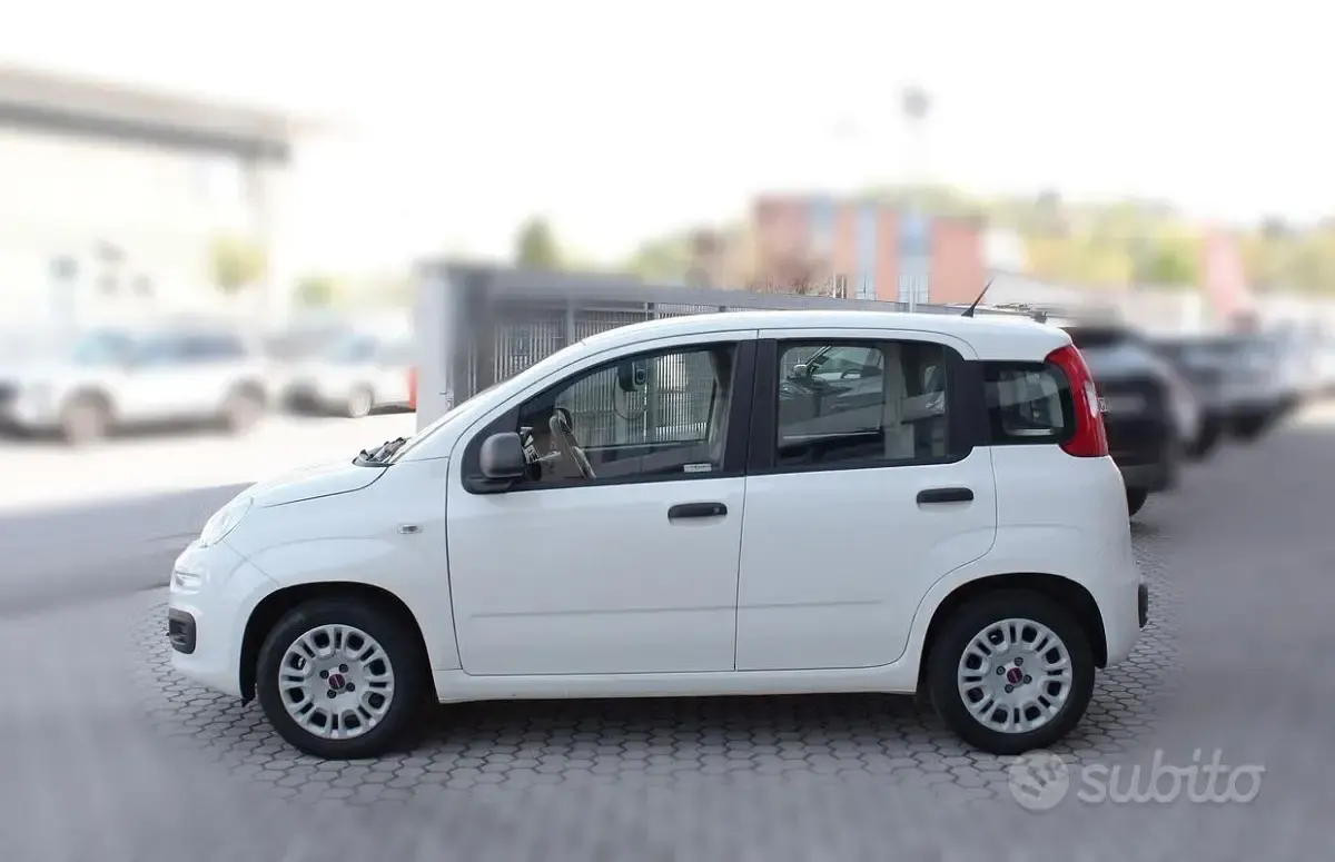 Usata Fiat Panda Easy 69 CV (50 kW) 2016 Bianco Utilitaria