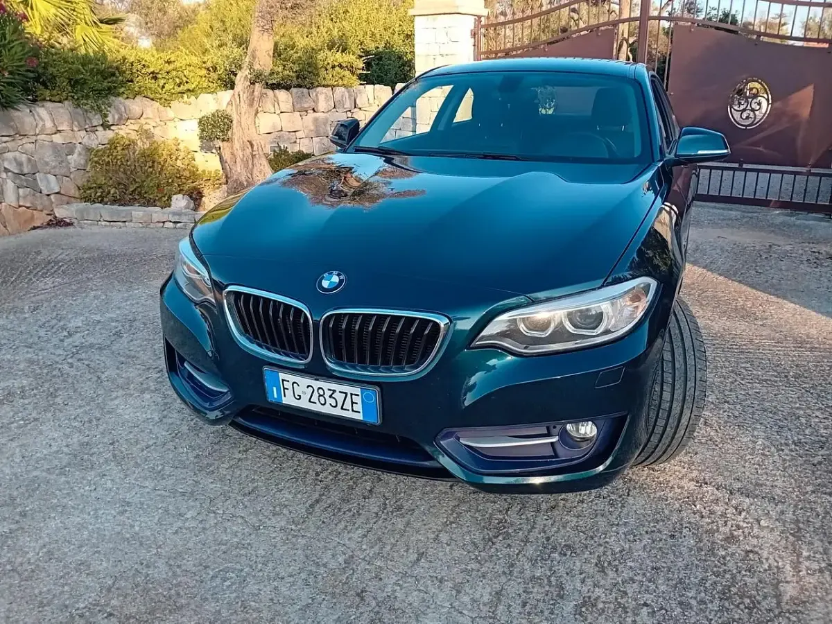Usata BMW 218 Sport Line 150 CV (110 kW) 2017 Bluazzurro Coupé