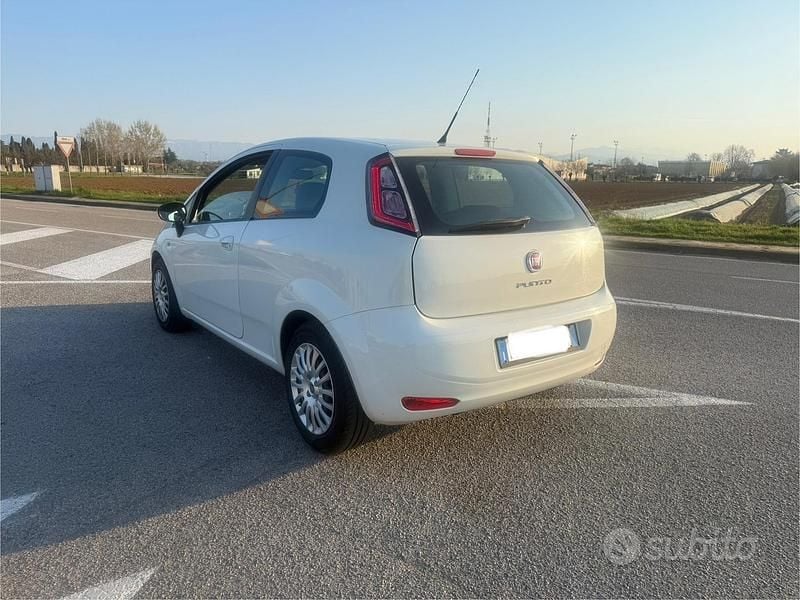 Usata Fiat Punto Evo 95 CV (69 kW) 2013 Bianco Utilitaria