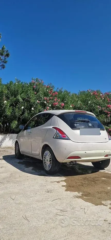 Usata Lancia Ypsilon 95 CV (69 kW) 2016 Utilitaria