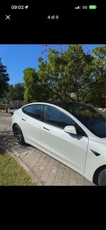 Usata Tesla Model 3 Standard Range 100 kW (136 CV) 2021 Berlina