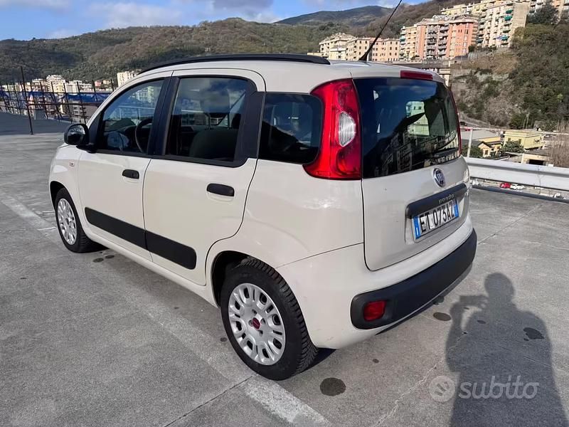Usata Fiat Panda 69 CV (50 kW) 2013 Beige Utilitaria