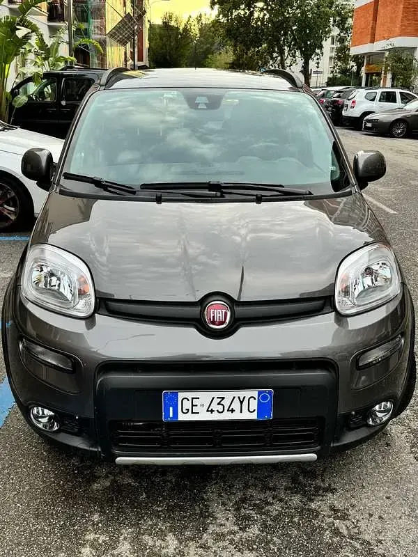 Usata Fiat Panda 4x4 Wild 86 CV (63 kW) 2026 Grigio Utilitaria