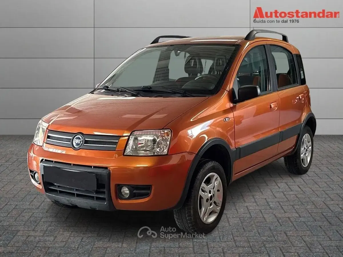Begagnad Fiat Panda 4x4 Climbing 60 HK (44 kW) 2007 Halvkombi