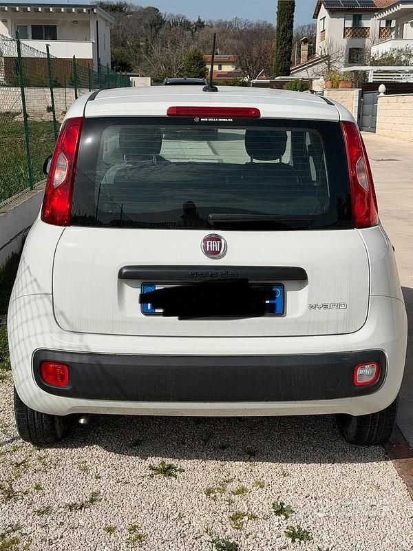 Usata Fiat Panda 70 CV (51 kW) 2021 Bianco Utilitaria