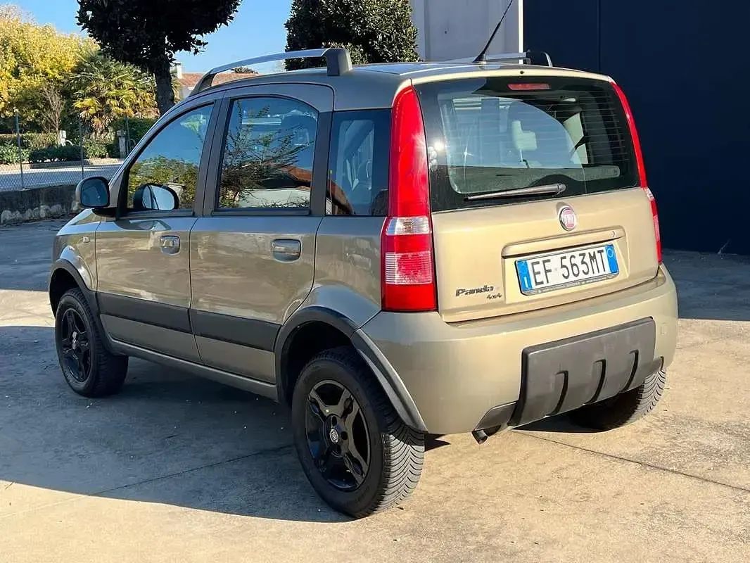 Usata Fiat Panda 4x4 Climbing 69 CV (50 kW) 2010 Utilitaria