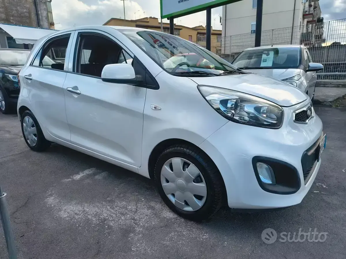 Usata Kia Picanto 69 CV (50 kW) 2014 Bianco Utilitaria