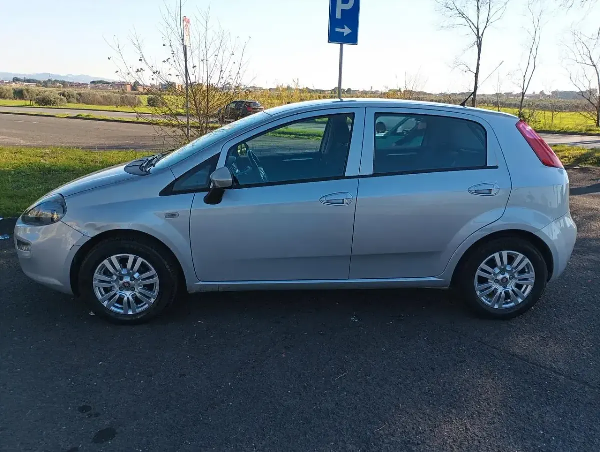 Usata Fiat Punto Lounge 69 CV (50 kW) 2016 Argento Utilitaria